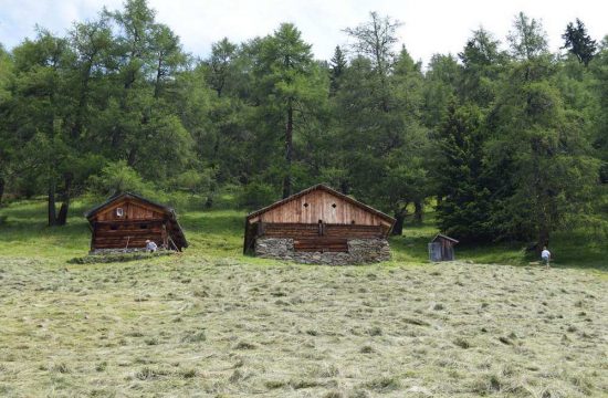 Tötscherhof in Terenten / Pusteria Valley - South Tyrol