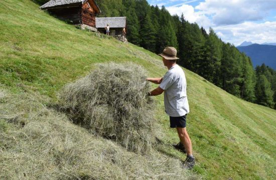 Tötscherhof in Terenten / Pusteria Valley - South Tyrol