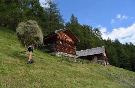 Tötscherhof in Terento / Val Pusteria - Alto Adige