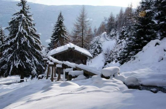 Tötscherhof in Terenten / Pusteria Valley - South Tyrol