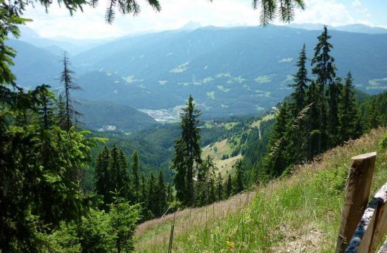 Tötscherhof in Terenten / Pusteria Valley - South Tyrol