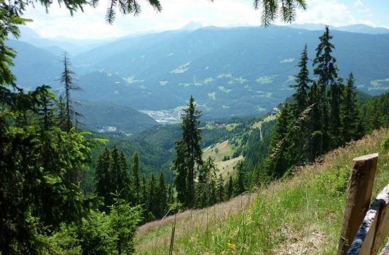 Tötscherhof in Terento / Val Pusteria - Alto Adige