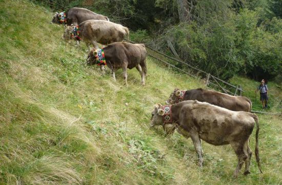 Tötscherhof in Terenten / Pustertal - Südtirol