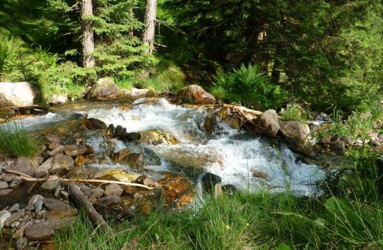 Tötscherhof in Terento / Val Pusteria - Alto Adige