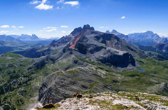 Tötscherhof in Terenten / Pusteria Valley - South Tyrol