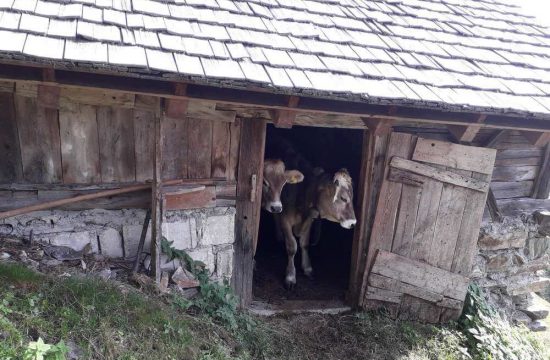 Tötscherhof in Terento / Val Pusteria - Alto Adige