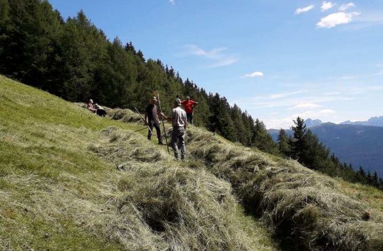 Tötscherhof in Terento / Val Pusteria - Alto Adige